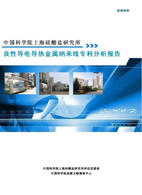金属纳米线分析报告-封面底副本.jpg